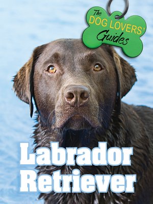 cover image of Labrador Retriever